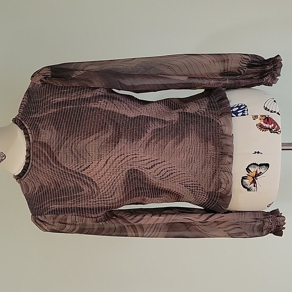 Truth by Republic Tops - TRUTH by Republic brown with sheer sleeves and ruffles.  Size is Medium.